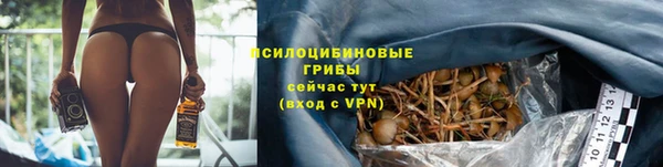 стаф Алексин