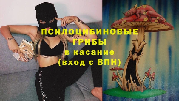 мяу мяу мука Алексеевка