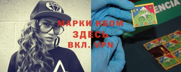 стаф Алексин