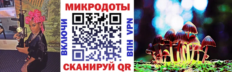 Галлюциногенные грибы Psilocybine cubensis  купить наркоту  Краснозаводск 